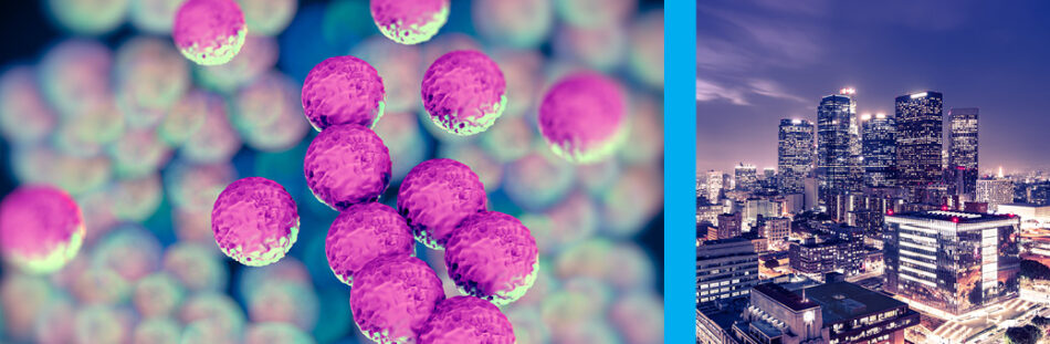 The growth of single-use items in the medical field