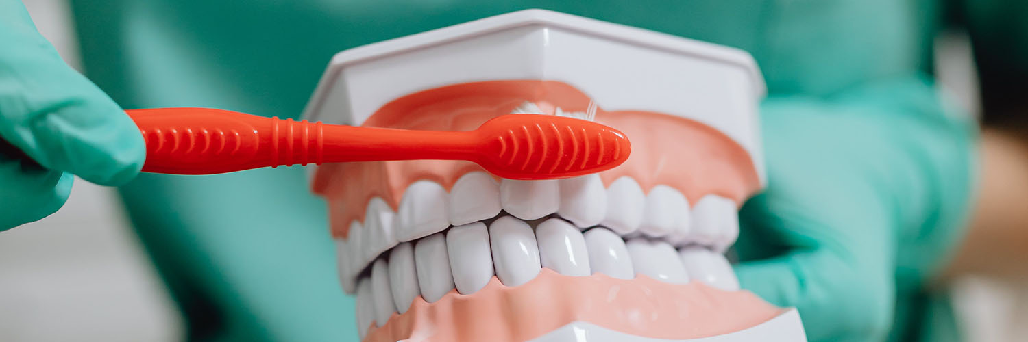 Oral Health Therapist - Banner