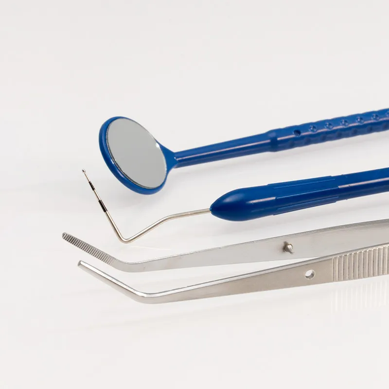 Single Use Dental Instrument Kit D3010