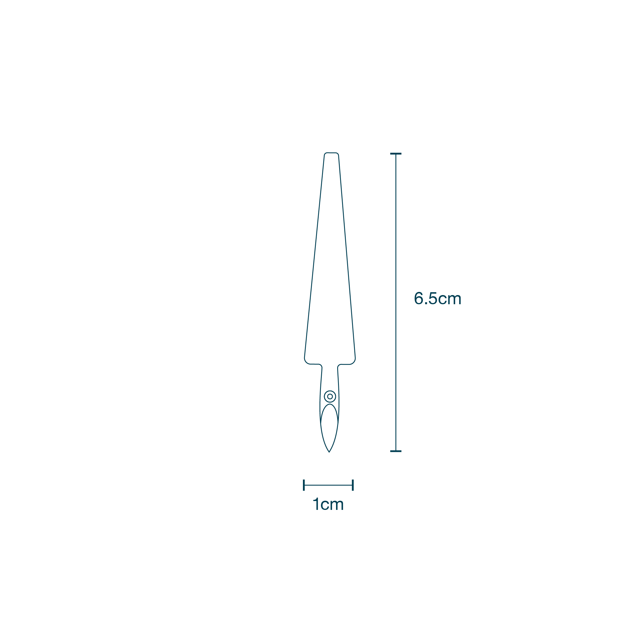 CC020 – Nail Clearner