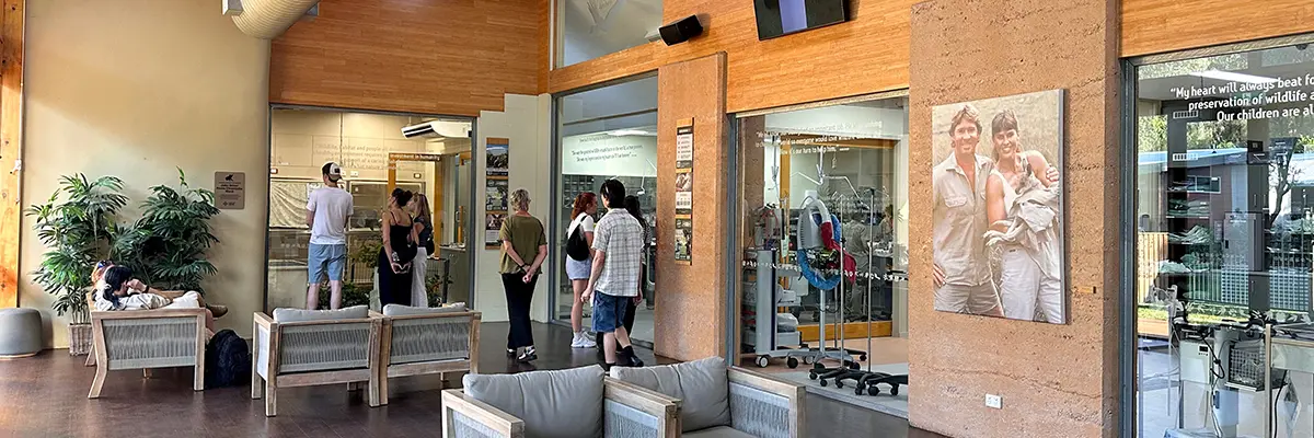 australia-zoo-wildlife-hospital-viewing-area-banner