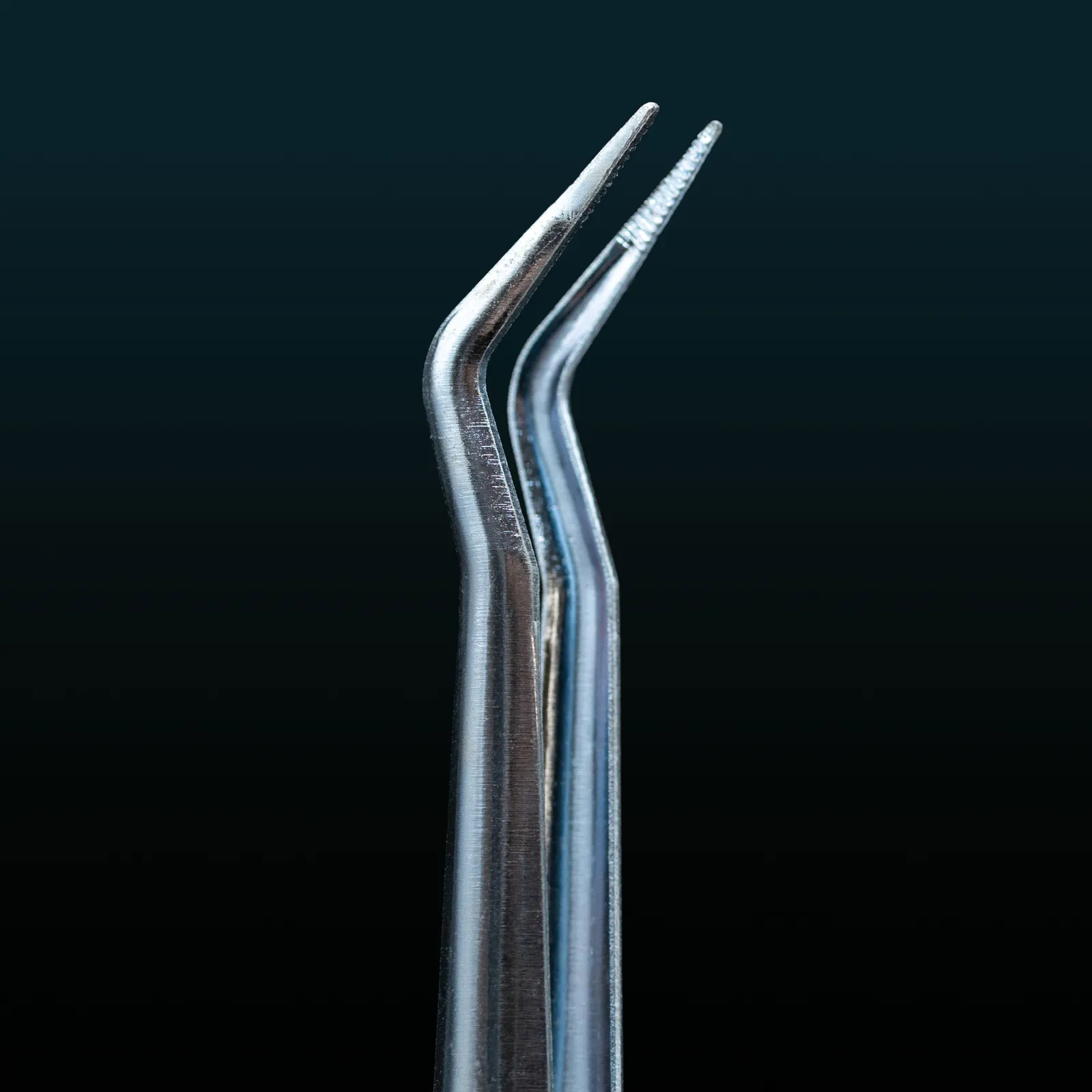 TW81 – Examination Tweezers